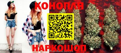 скорость Славгород